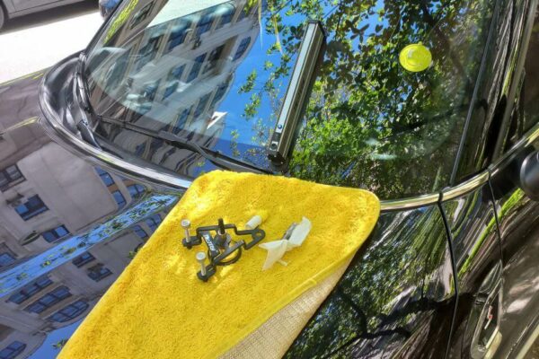 Видалення тріщин на лобовому: як киянам зберегти безпеку та не міняти скло